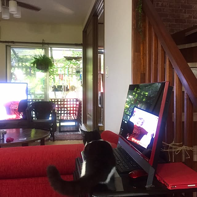 butachanさんの実例写真