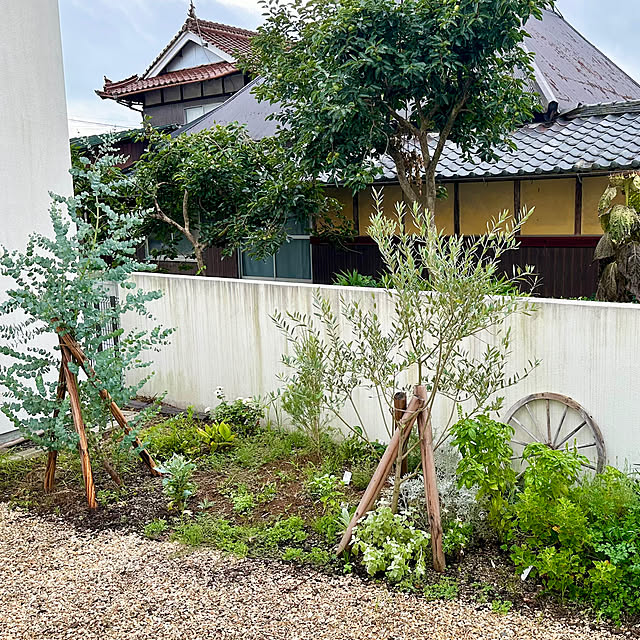 Kaneyukiさんの部屋