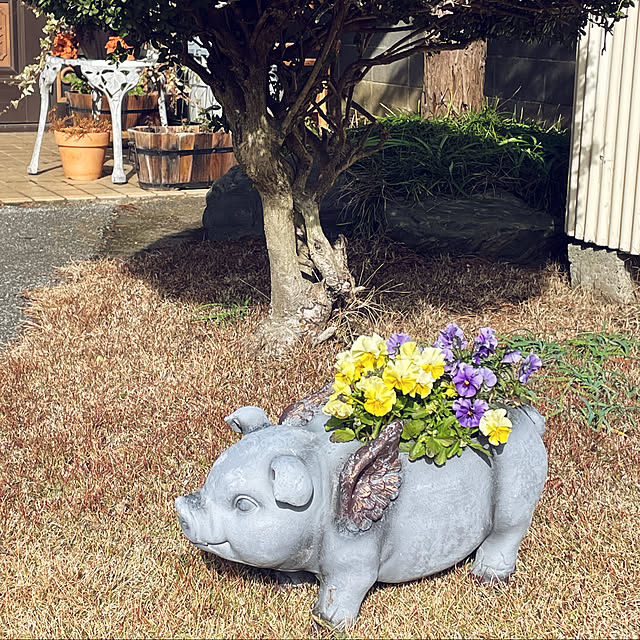 remonさんの実例写真