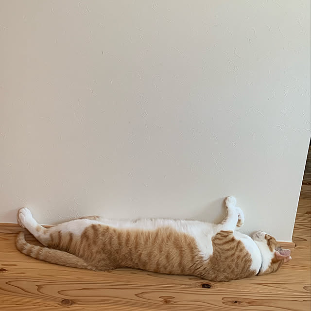 Aさんの実例写真
