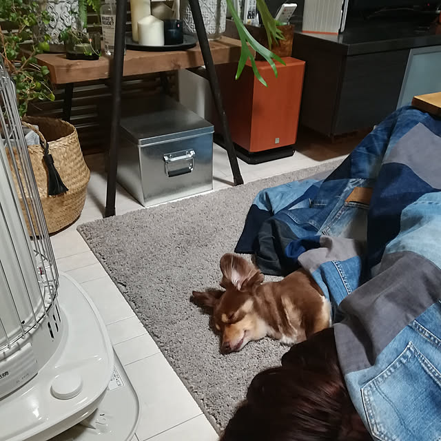 rikakoさんの実例写真