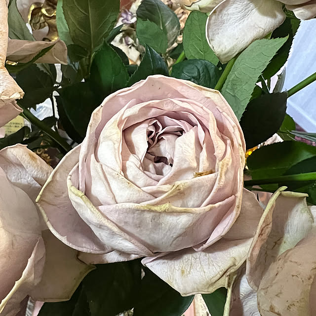 AYUKOさんの部屋