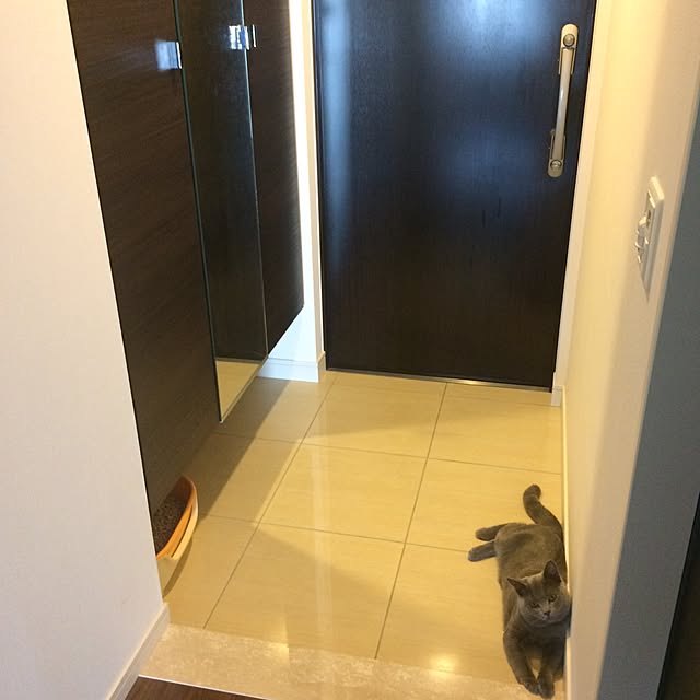 ma_ma_mu1030さんの実例写真