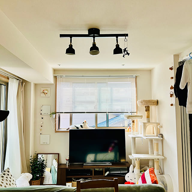 karuraaさんの部屋