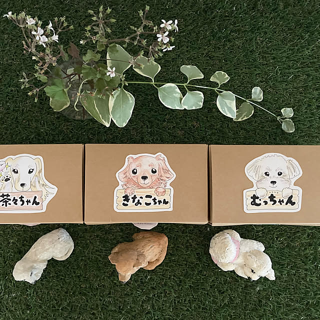 chachamamaさんの部屋