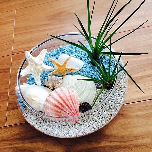 Naokoさんの実例写真