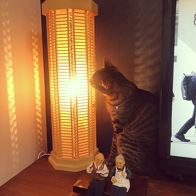 manekiさんの実例写真