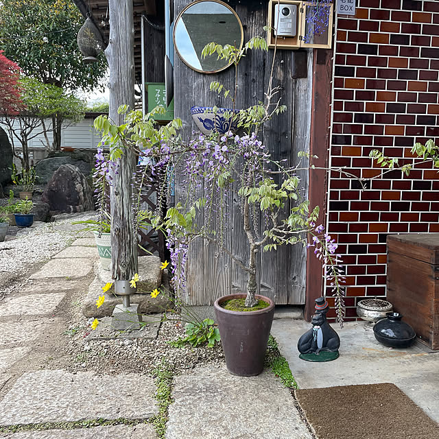 shin0719さんの実例写真