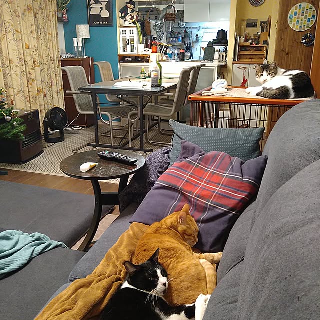 okyosan101さんの部屋