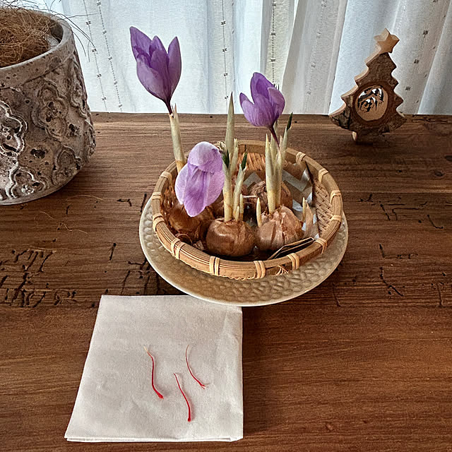 remonさんの部屋