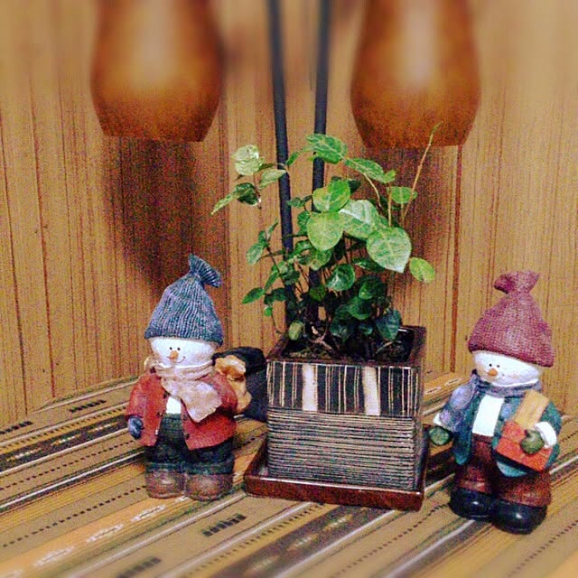 chakyさんの実例写真