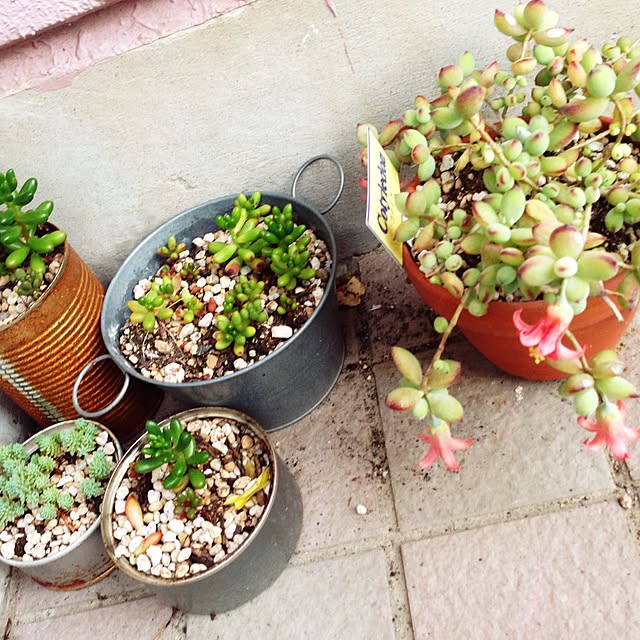 su-chanさんの実例写真