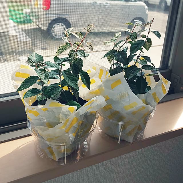 KOHAKUさんの実例写真