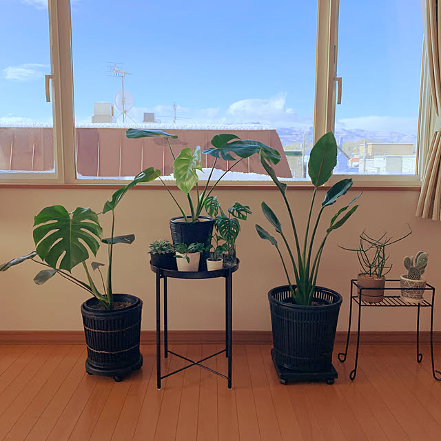 you1219さんの実例写真