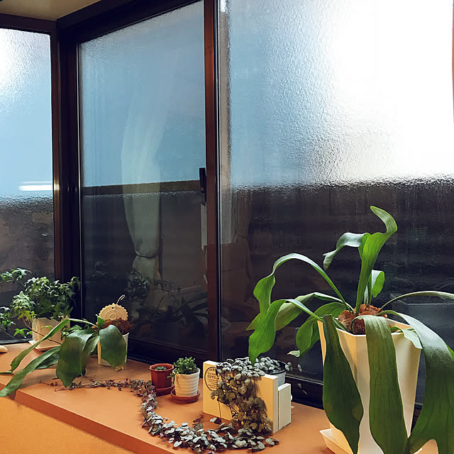 canmilmamaさんの実例写真