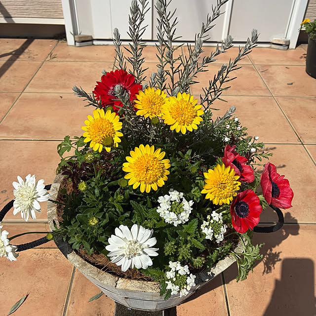 leepo5さんの実例写真