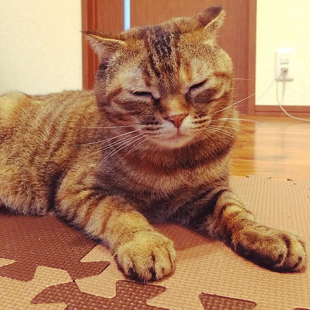 Y.Gさんの実例写真
