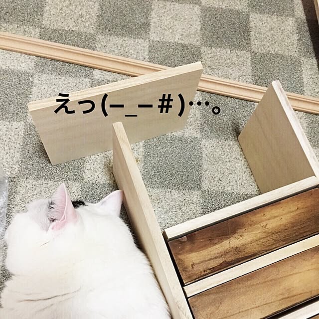 miさんの実例写真