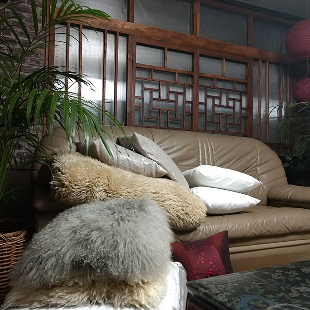 nikkoriさんの実例写真