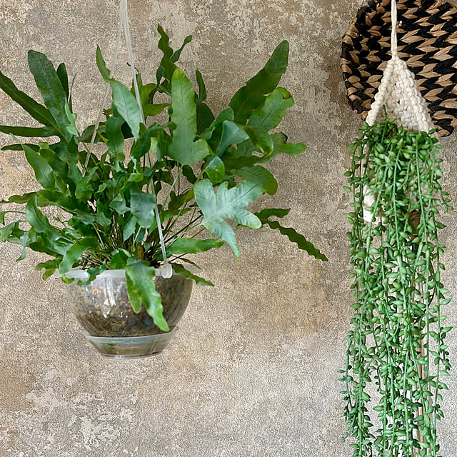 REI015mさんの部屋