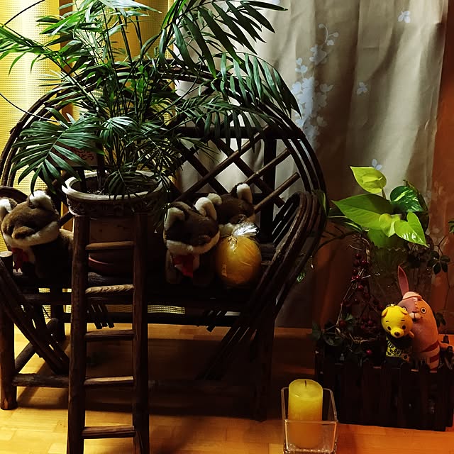 実例写真