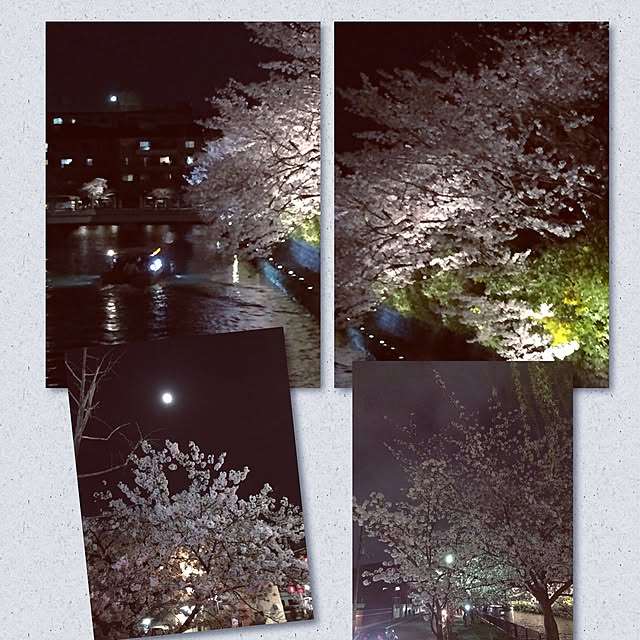 実例写真