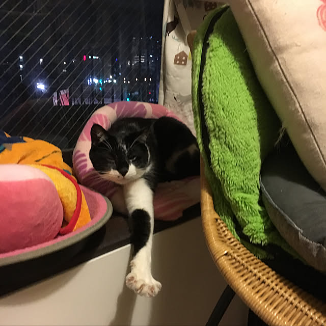 miyabiさんの実例写真