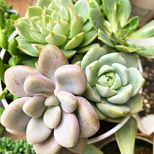 **yuu**さんの実例写真