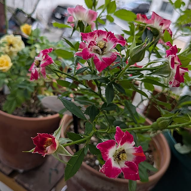 kazuさんの部屋