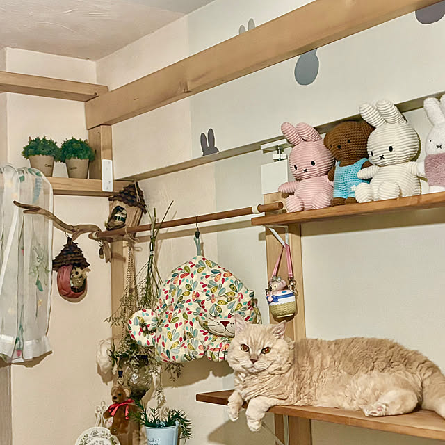 naokoさんの部屋