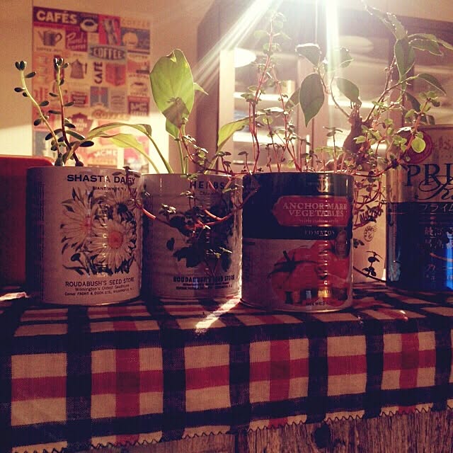 kiyomunさんの実例写真