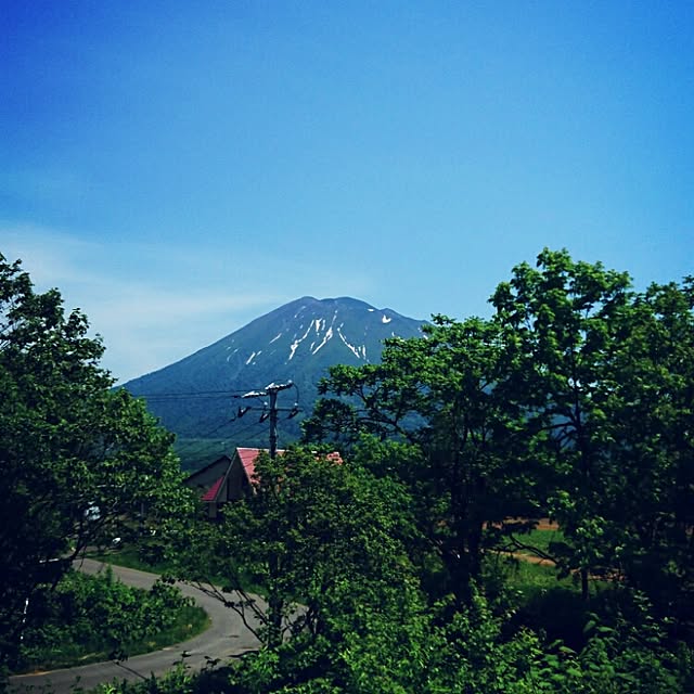実例写真