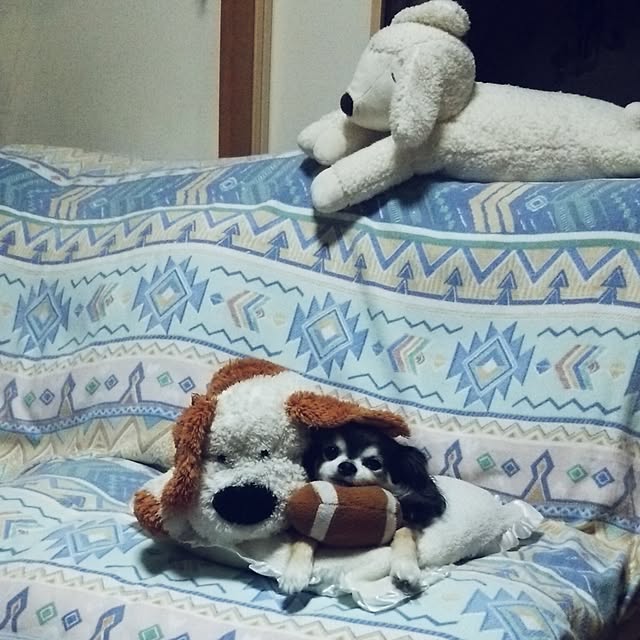 satominさんの実例写真