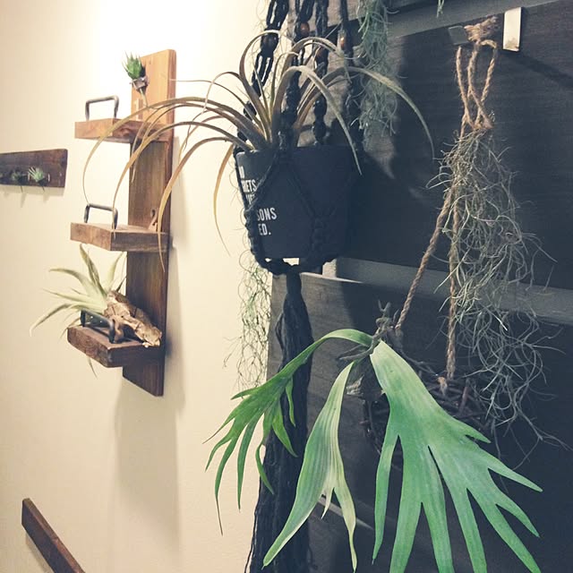 charanさんの実例写真