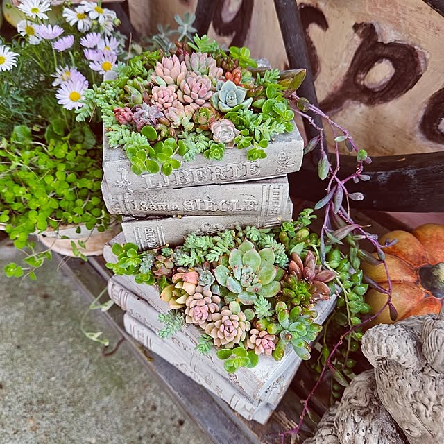 mocomocoさんの部屋