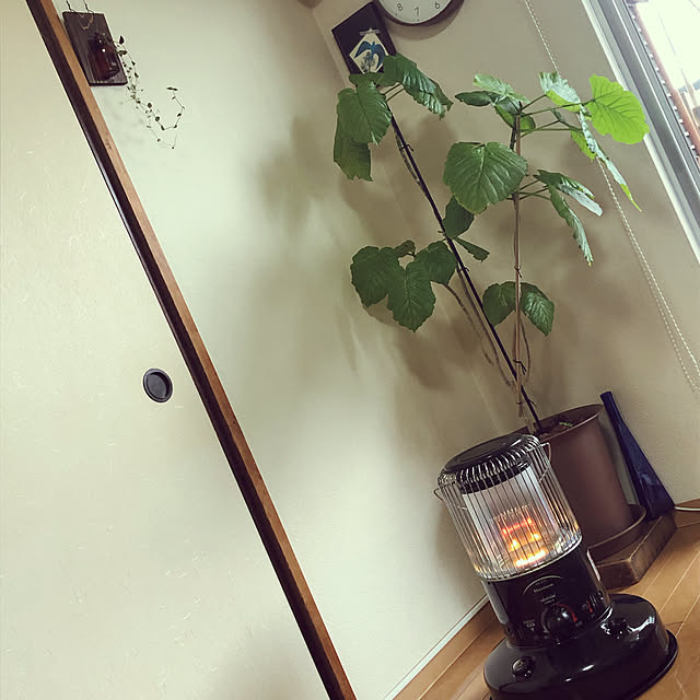 yukさんの実例写真