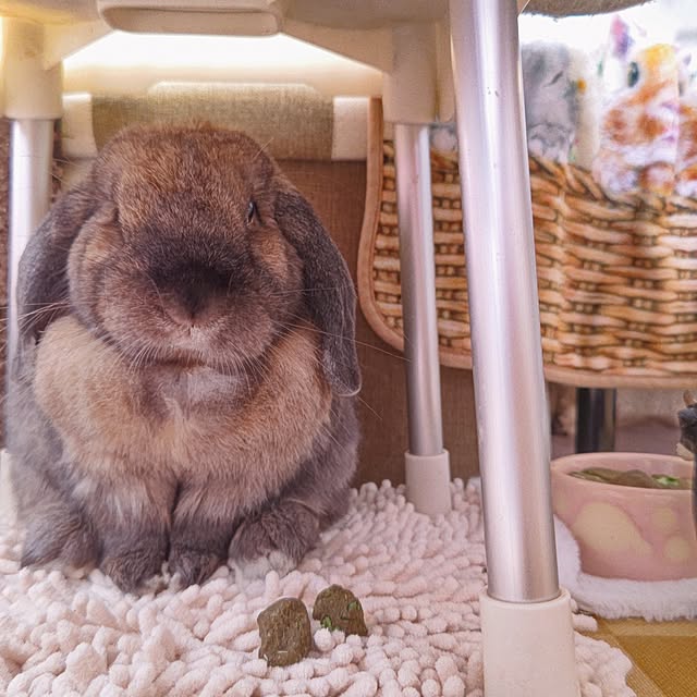 mariaさんの実例写真