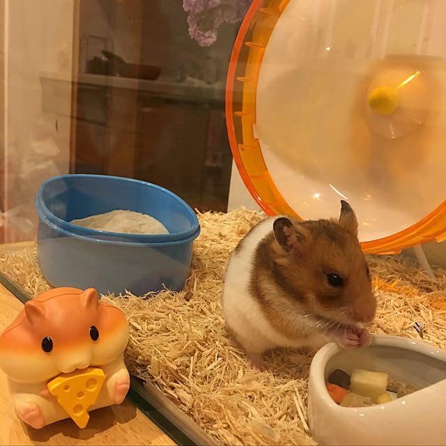 jamさんの実例写真