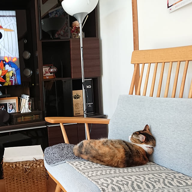 akiさんの実例写真