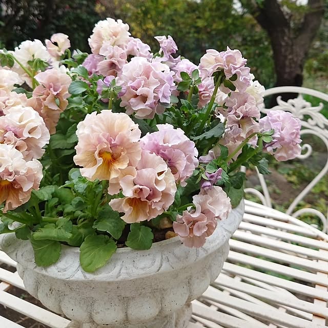 chururiさんの実例写真