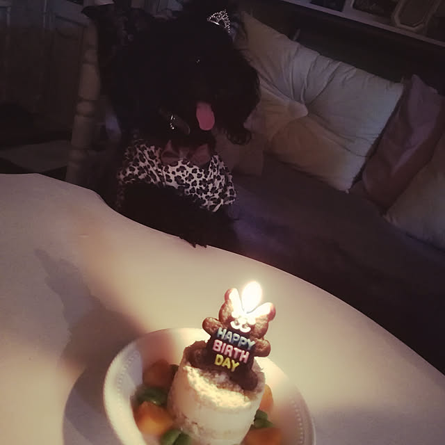 junhimeさんの実例写真