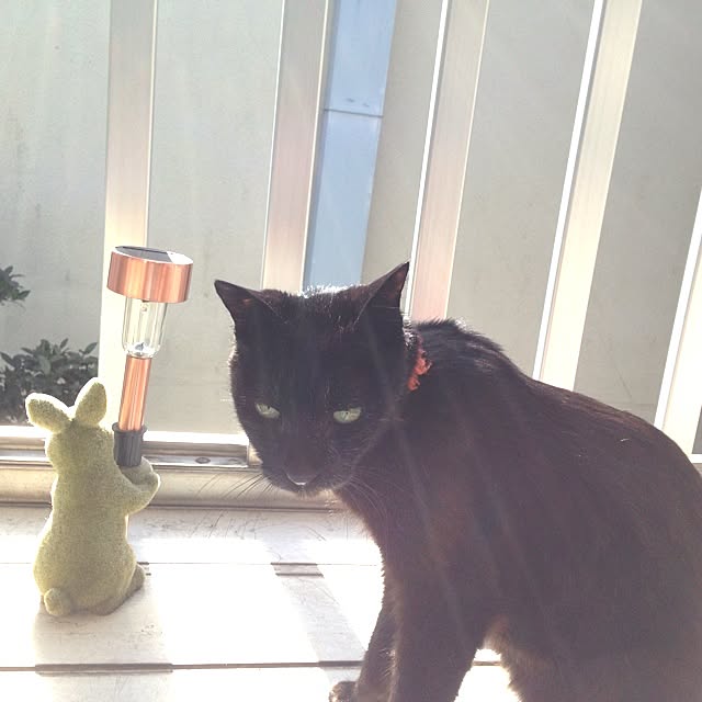 _smms_さんの実例写真