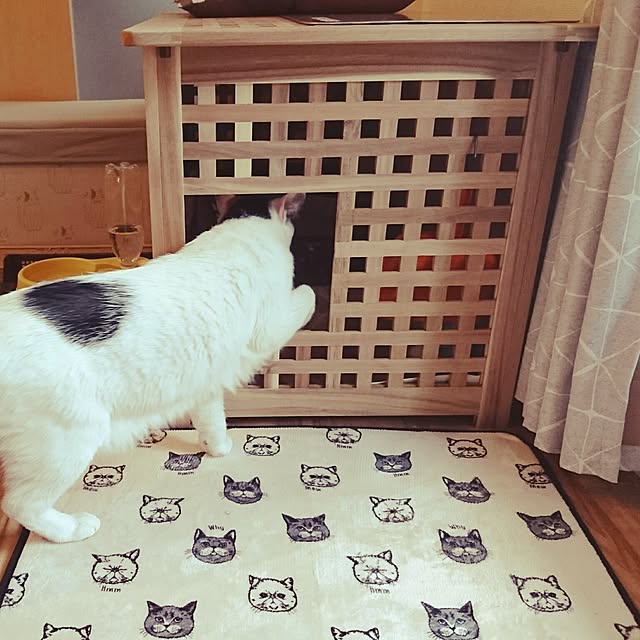 mosoさんの実例写真