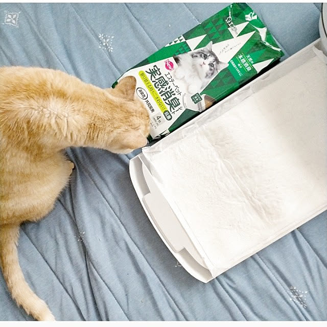 heart.emiemi57.whiteさんの実例写真