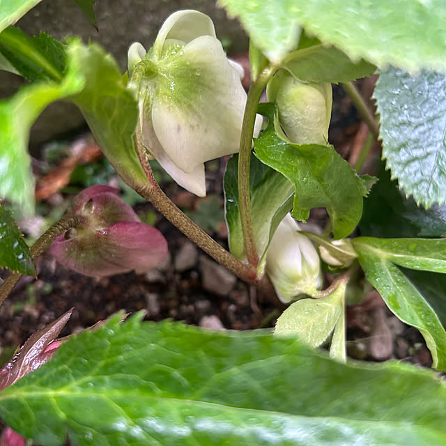 ritsukoさんの部屋