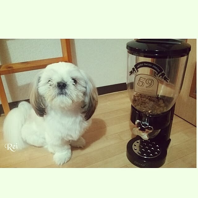 Reiさんの実例写真