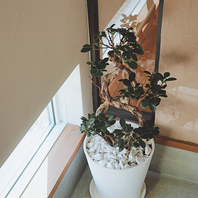 ui____homeさんの部屋