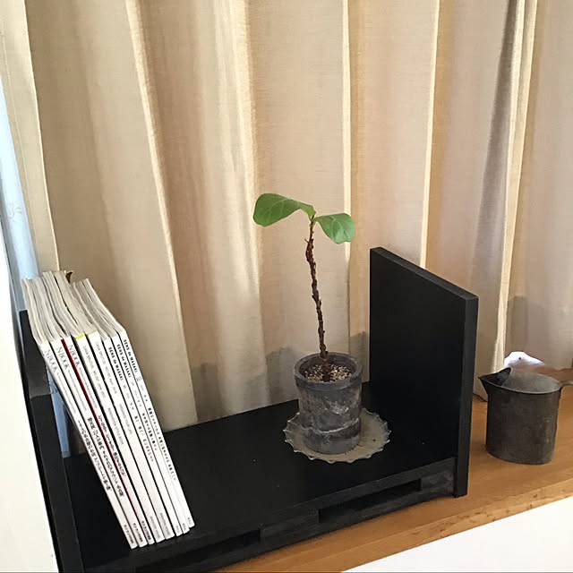 kpyさんの実例写真
