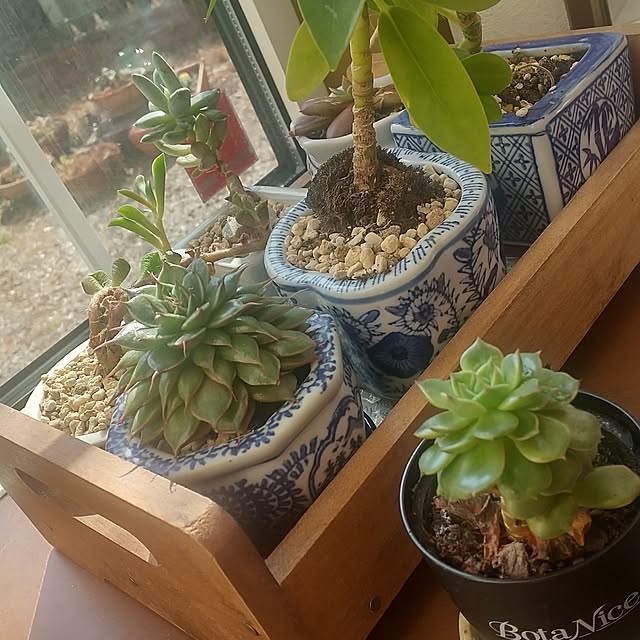Rさんの部屋
