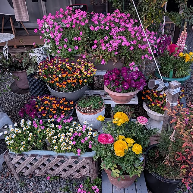 babaさんの実例写真